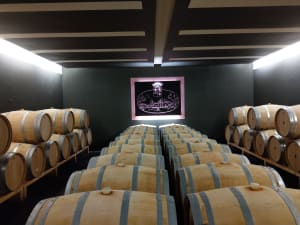 Oak barrel cellar used for aging Médoc wines visited on a guided wine tour from Bordeaux