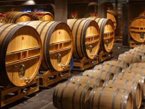 Reims & Champagne full day trip from Epernay (private) - image 4