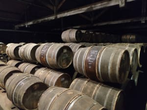 Rows of Limousin oak barrels stacked in the dimly lit ageing cellars of a Cognac distillery in the Charente region