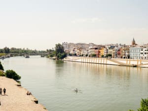 Private Seville Tapas & History Tour - image 4