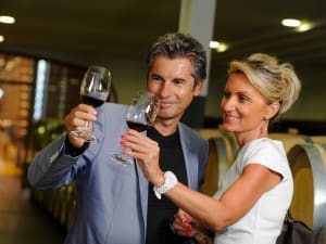 Small group wine tasting experience at a Médoc château during a half-day tour from Bordeaux