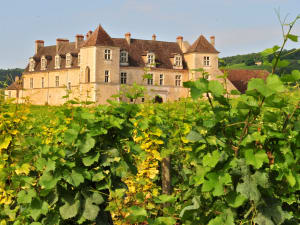 Full-Day Burgundy Wine Tour from Beaune (shared) - image 3