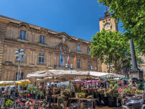 Avignon Guided Walking Tour (private) - image 3