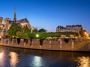 Seine River Cruise with Dinner Paris France (privilege) - image 3