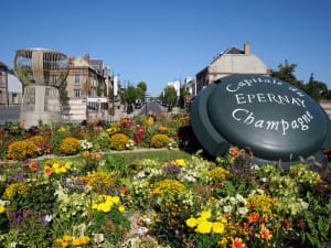 Champagne Tour visit 2 local wineries From Reims (shared) - image 4