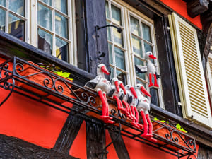 Alsace Breweries & Delicacies From Mulhouse (private) - image 4