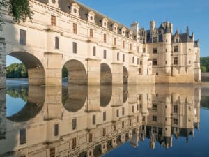 Chenonceau Castle A Half Day Trip from Tours (private) - image 3