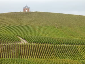 Countryside landscape in Champagne region
