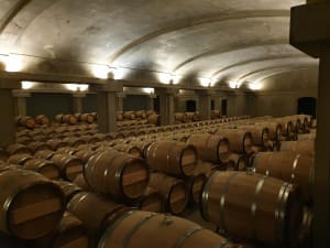 Oak barrels aging Sauternes wine in the dimly lit cellars of a Bordeaux château