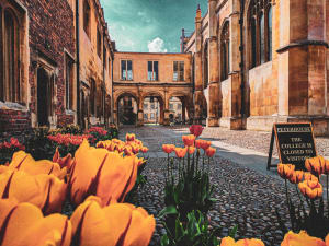 Oxbridge Audio Walking Tours - Guided By Expert Historian - image 4