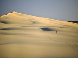 Panoramic view from the top of Dune du Pilat over the ocean and forest