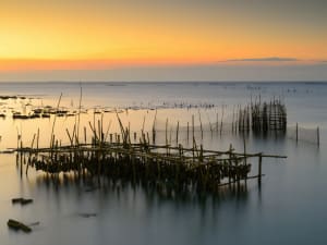 View over Arcachon Bay with oyster beds and boats at low tide