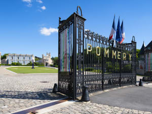 Champagne Tour visit 2 local wineries From Reims (shared) - image 3