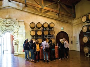 Tour group gathered in a wine barrel cellar with ornate architectural details and wooden barrels on display.