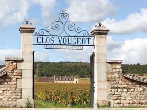 Full-Day Burgundy Wine Tour from Beaune (shared) - image 4