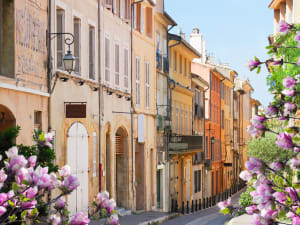 Avignon Guided Walking Tour (private) - image 4