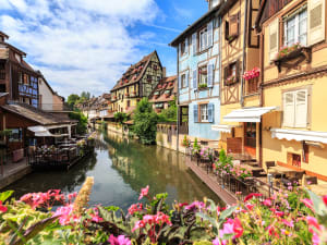 Highlights of Alsace From Riquewihr (private) - image 4