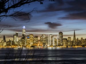 San Francisco skyline at dusk with illuminated buildings reflected in bay waters, framed by bare tree branches