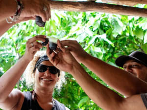 Traditions, Tastings & Beach - Halfday Private Choco Tour - image 3