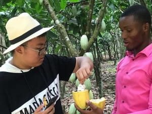 Cocoa Trail - image 3