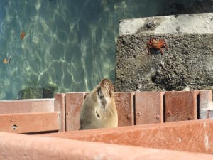 17-Day Hidden Treasure Ecuador & Galapagos - image 3