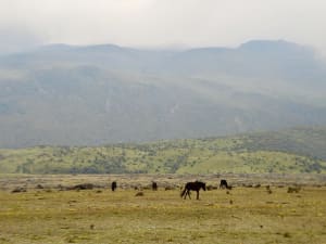 Biking around the Cotopaxi Volcano - image 3