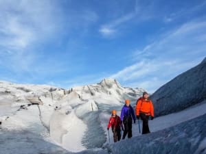 Small-Group South Coast & Glacier Hike from Reykjavik - image 3
