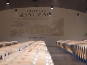 Dimly lit stone cellar lined with rows of oak barrels in a Bordeaux château.
