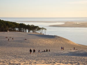 Arcachon Bay 2-hour Boat tour on Traditional Pinasse  - image 4