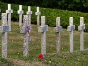 Stone crosses in a World War I military cemetery with a red poppy