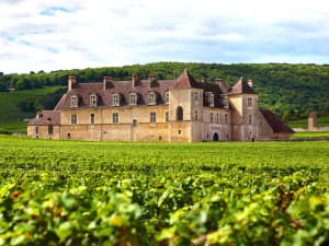View of Château du Clos de Vougeot standing amid lush green vineyards in the heart of the Burgundy wine region under a bright sky