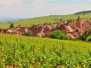 French and German Private Wine Tasting Tour from Strasbourg - image 3