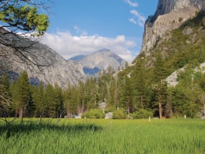 Scenic mountain valley with granite cliffs, pine forest, and lush meadow under clear blue sky