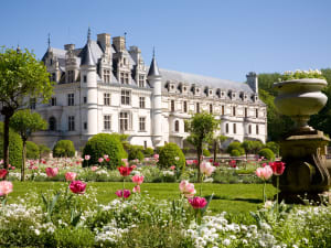 Chenonceau Castle A Half Day Trip from Tours (private) - image 4