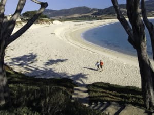 Two people walking on pristine white sand beach framed by gnarled tree branches, with turquoise water and rolling hills beyond