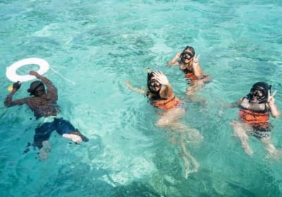 Los Haitises  image 2