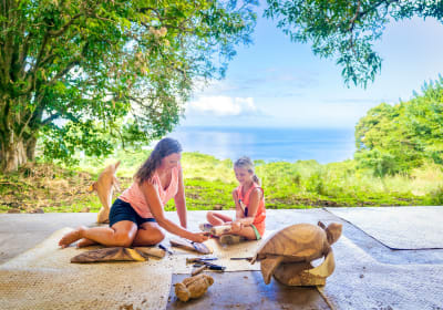 Aloha Adventure Farms image 2