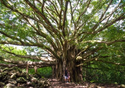 Hike Maui image 2