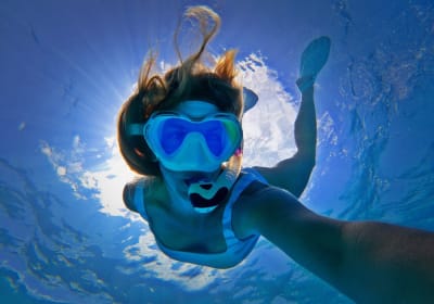 Living Ocean Tours image 3