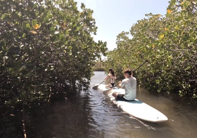 Epic Ocean Adventures image 3