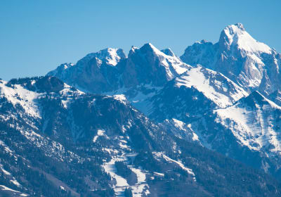 Teton Scenic Float Tours image 1
