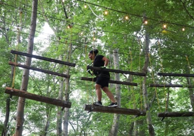 Tree Trails Adventures image 2