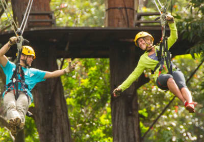 Hawaii Forest and Trail image 3