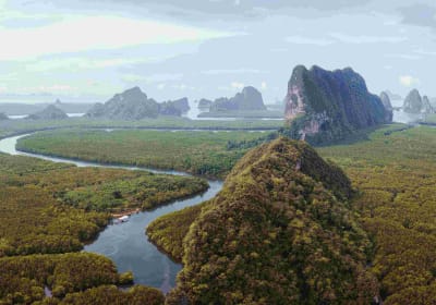Simba Sea Trips image 1