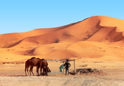 Morocco Travel Excursion image 1