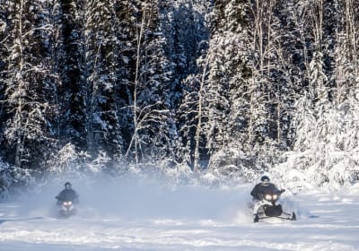 Rod's Alaskan Guide Service image 2