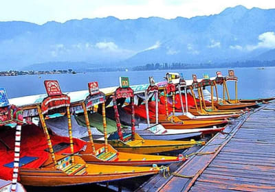 C Himalaya Tour and Travels image 2