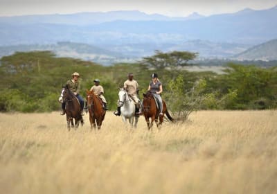 Samson's Safaris image 1