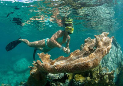 Cruz Bay Water Sports image 3