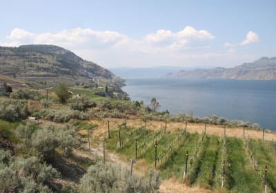 Sagebrush Tours image 1